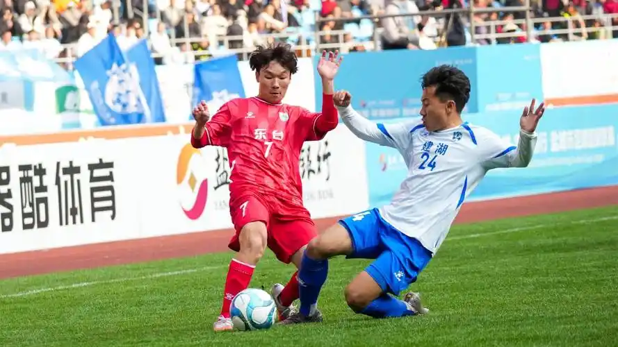 美洲杯系列（100条）